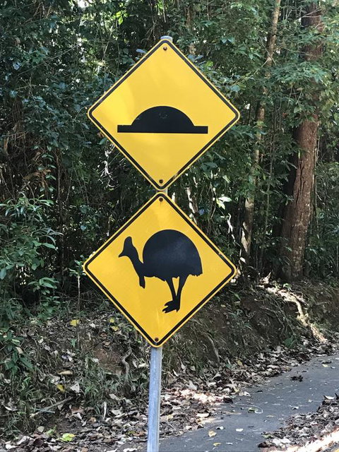 Daintree Magic - Tourism Search 1