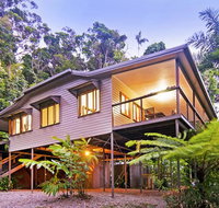 Daintree Magic
