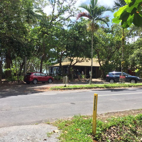 Daintree Rainforest Beach House - Tourism Search 3