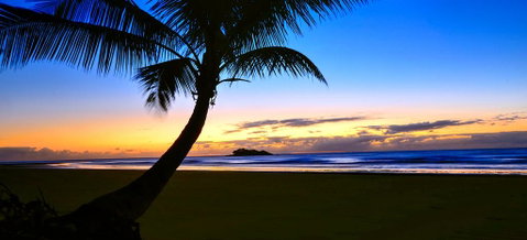 Daintree Rainforest Beach House - Tourism Search 2