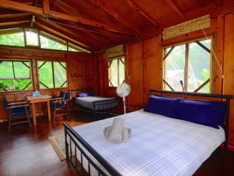 Daintree Rainforest Bungalows - Tourism Search 2