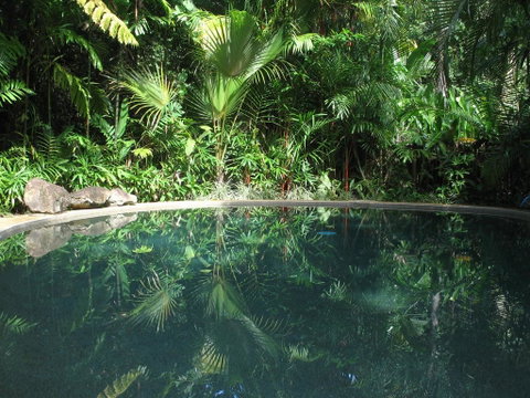 Daintree Rainforest Retreat Motel - Tourism Search 0