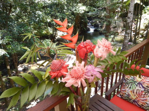 Daintree Secrets Rainforest Sanctuary - Tourism Search 1