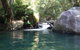 Daintree Secrets Rainforest Sanctuary - thumb 0