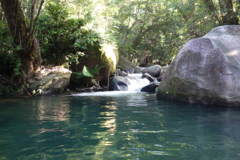 Daintree Secrets Rainforest Sanctuary - Tourism Search 0