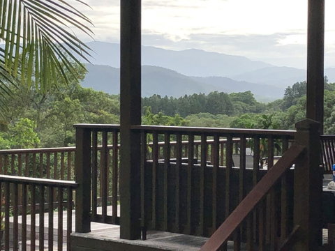Daintree Valley Cottage - Tourism Search 1