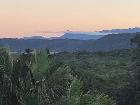 Daintree Valley Cottage - Tourism Search 2