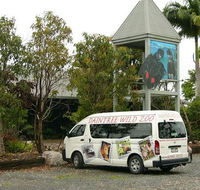 Daintree Wild Bed  Breakfast - Tourism Search