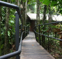Daintree Wilderness Lodge - Tourism Search