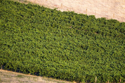 Dairyman's Cottage - Tourism Search 1