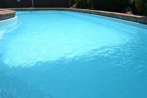 Denman Motor Inn - Tourism Search 3