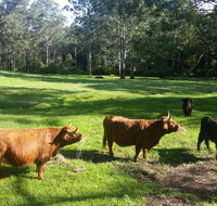 Dingley Dell - Tourism Search