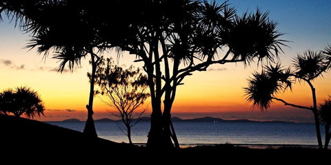 Driftwood Motel And Holiday Units - Tourism Search 2