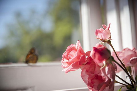 Dwellingup Retreat - Tourism Search 3