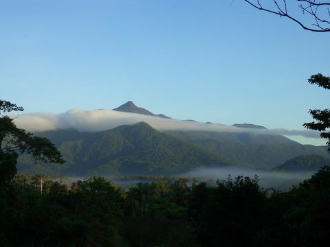 Epiphyte B & B - Tourism Search 0