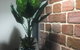 Executive Villa, Private 2 Bedroom In Ideal Location - thumb 3