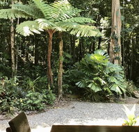 Forest Views Daintree