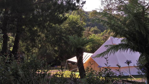 Glamping At Zeehan Bush Camp - Tourism Search 0