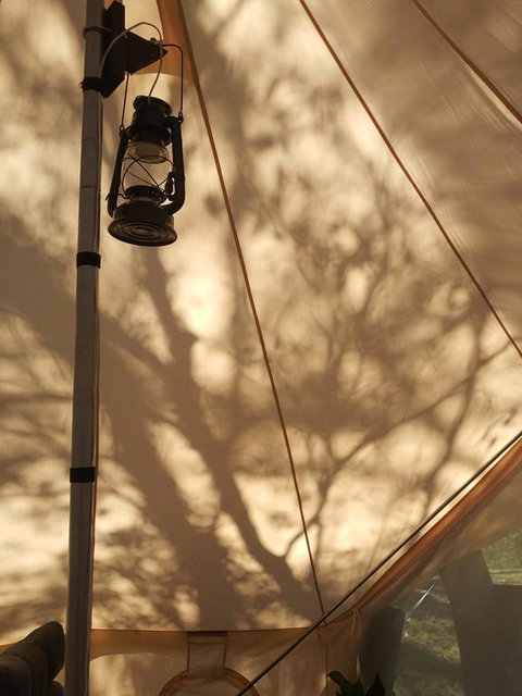 Glamping At Zeehan Bush Camp - Tourism Search 3