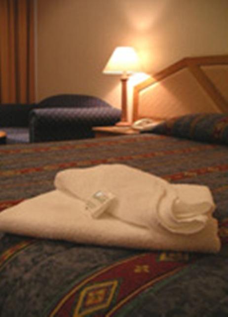 Goulburn Central Motor Lodge - Tourism Search 3
