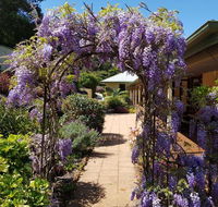 Gumtree House Montville - Tourism Search