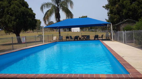 Jacaranda Motor Lodge - Tourism Search 0