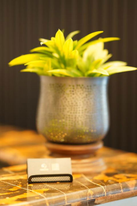 Jephson Hotel & Apartments - Tourism Search 3