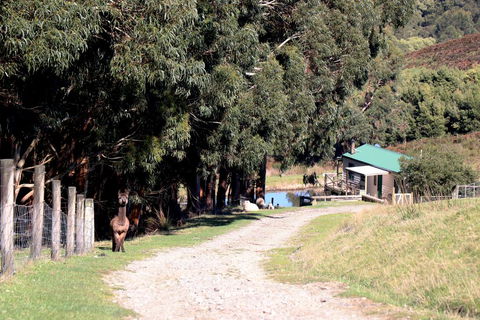 Johanna River Farm & Cottages - Tourism Search 1