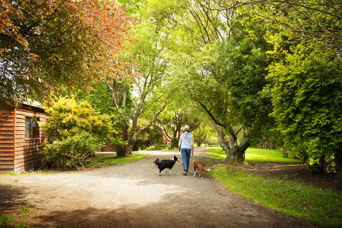 Johanna River Farm & Cottages - Tourism Search 0