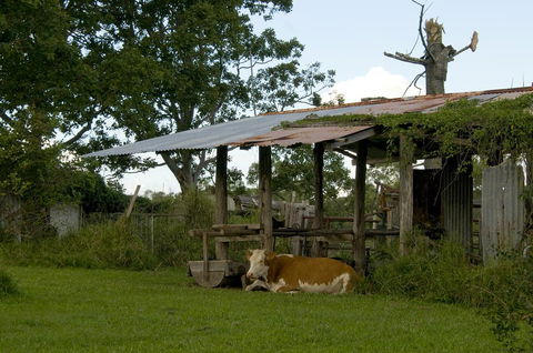 Lagoon Pocket Bed & Breakfast - Tourism Search 3