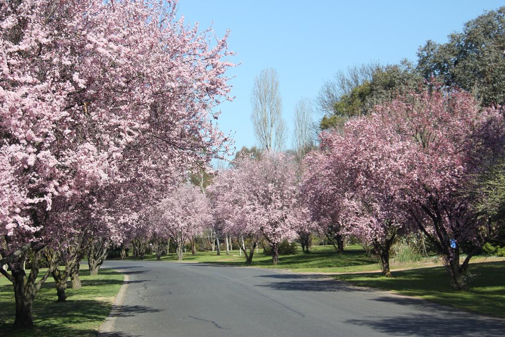 Kelso NSW Tourism Search