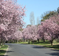 Leo's Rest Bathurst NSW - Tourism Search