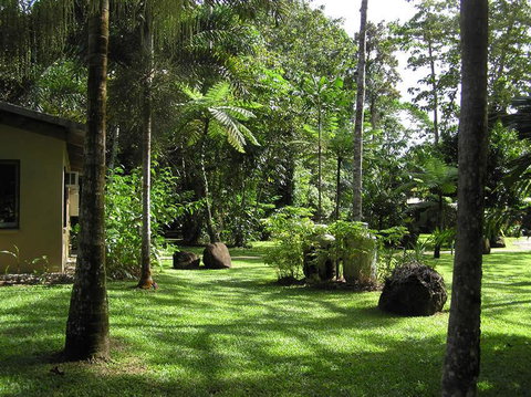 Lync Haven Rainforest Retreat - Tourism Search 3