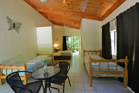 Lync Haven Rainforest Retreat - Tourism Search 2