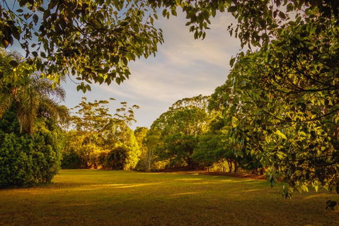 Malanda Lodge - Tourism Search 1
