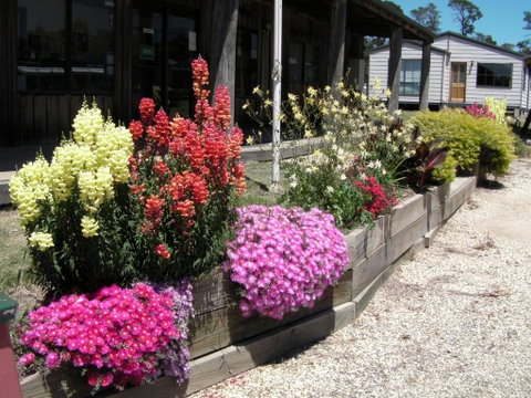 Mansfield Holiday Park - Tourism Search 3