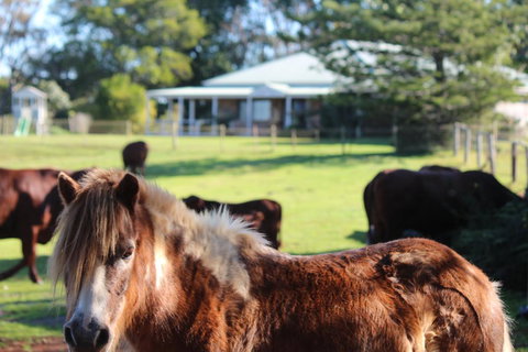 Montville House On The Hill - Tourism Search 2