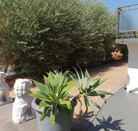 Mt.Lawley superb 2 BR Apartment Ideally located 5 - Tourism Search