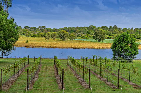 Narangba Motel (formerly Brisbane North B&B And Winery) - Tourism Search 3