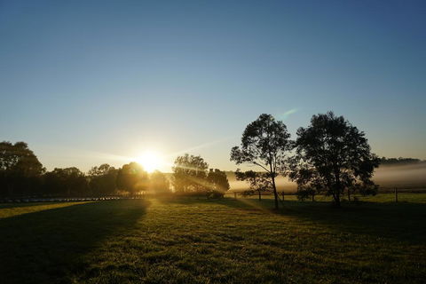 Narangba Motel (formerly Brisbane North B&B And Winery) - Tourism Search 2