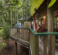 Narrows Escape Rainforest Retreat - Tourism Search