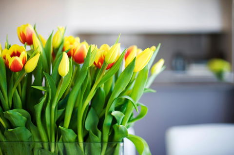 Claremont Quarter Luxury Apartment - Tourism Search 11