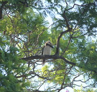 Jacaranda Hideaway Bed  Breakfast - Tourism Search