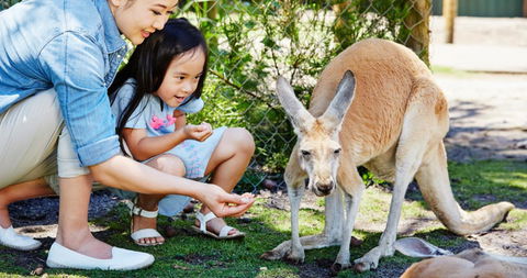 Banksia Tourist Park - Tourism Search 29