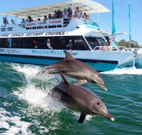 Belvedere Caravan Park - Tourism Search