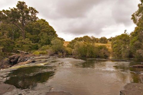 Arum - Close To The Margaret River - Tourism Search 12