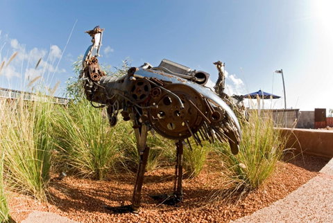 Mantarays Ningaloo Beach Resort - Tourism Search 35