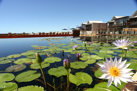 Mantarays Ningaloo Beach Resort - Tourism Search 4