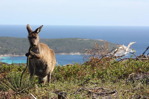 Bremer Bay B&B - Tourism Search 30