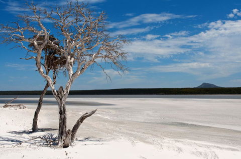 Bremer Bay B&B - Tourism Search 33
